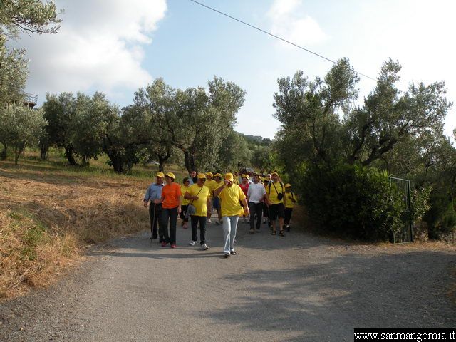 Foto 017